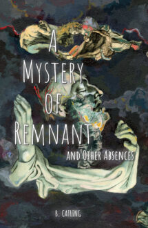 A Mystery of Remnant